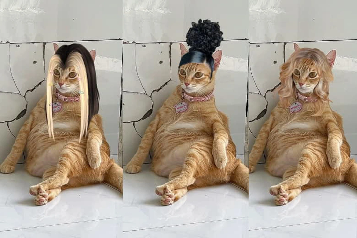 Pet Influencer Marketing: Tại Sao "Boss" 4 Chân Lại Có Sức Hút Hơn Cả Celeb?